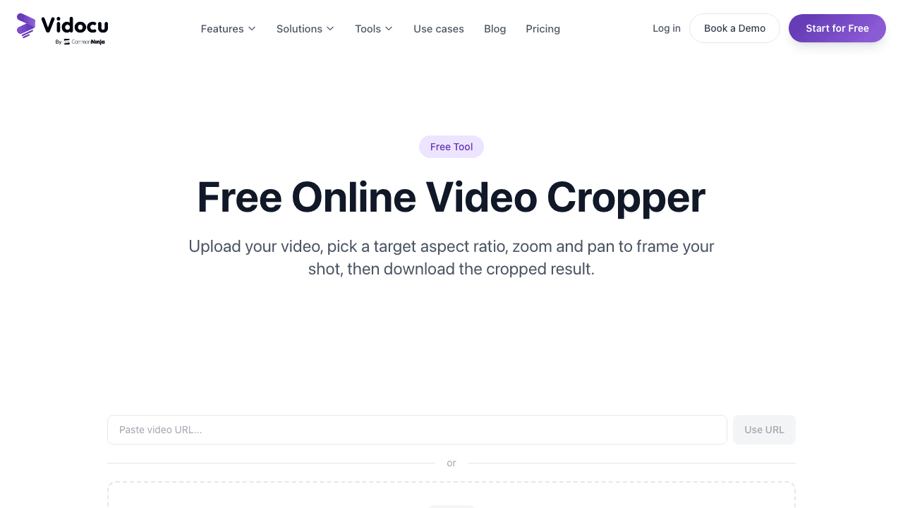 Vidocu free video cropper