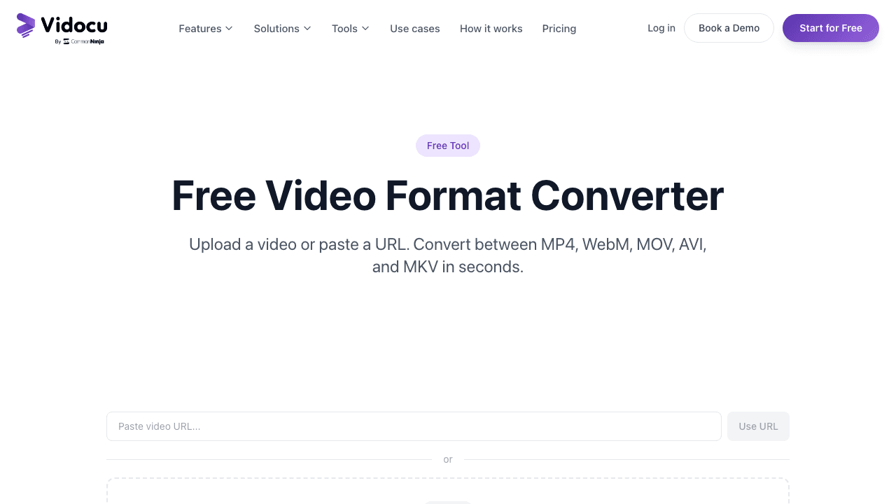 Vidocu free video format converter